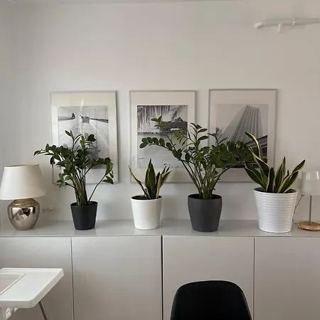 Apartamento Szentálom *