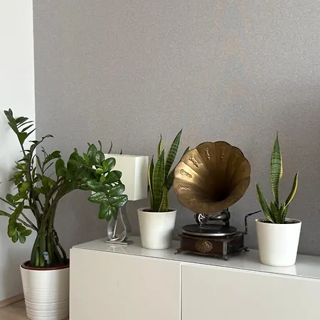 Apartament Szentalom