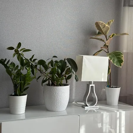 Szentálom Apartamento