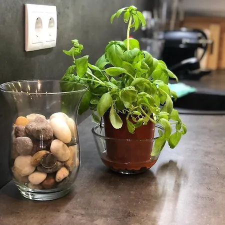 Szentálom Apartamento